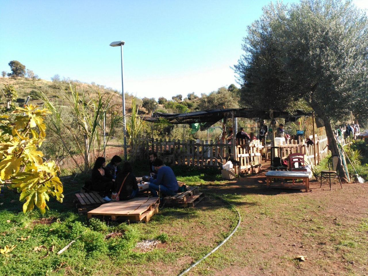Nodo: Huerta Dignidad