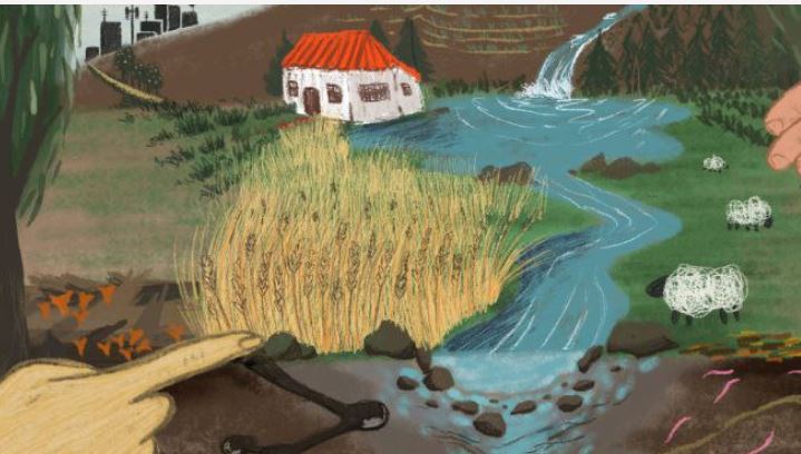 Curso de Permacultura – Solidaridad Internacional&nbsp;Andalucía