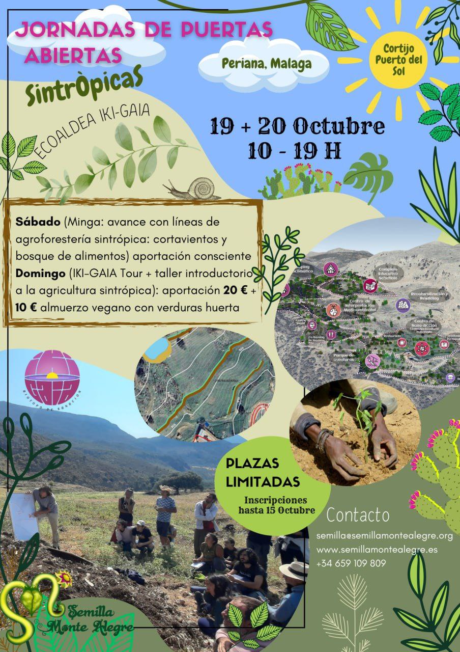 Puertas abiertas en&nbsp;sintropía