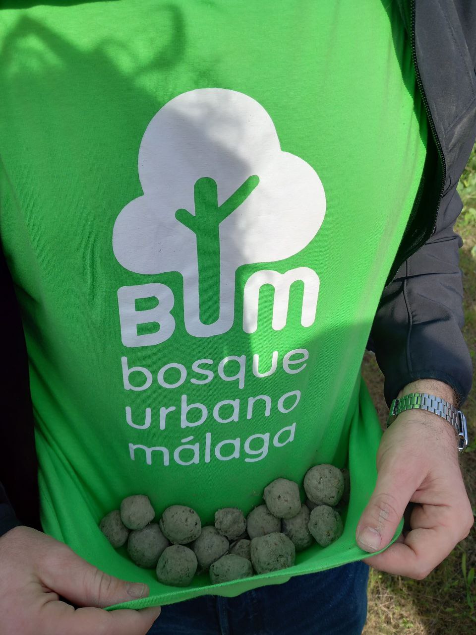 BUMbazo Regenerativo
