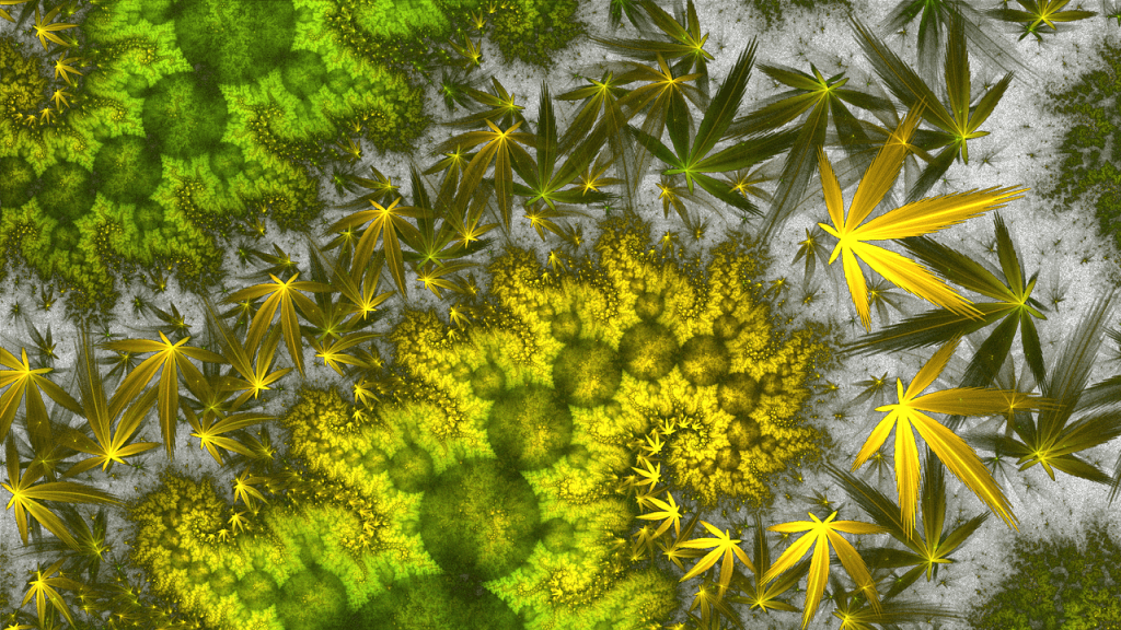 Diseñar lo indefinido: Reflexiones para abordar un diseño de la Red de Permacultura de&nbsp;Málaga